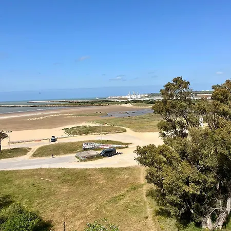 Gatu Nautico 